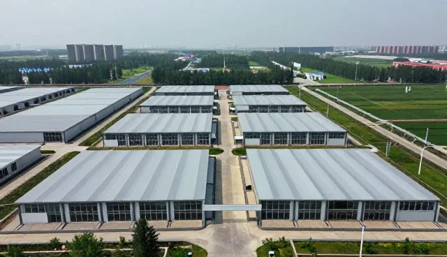 技术转让中的常见问题与处理方法解析